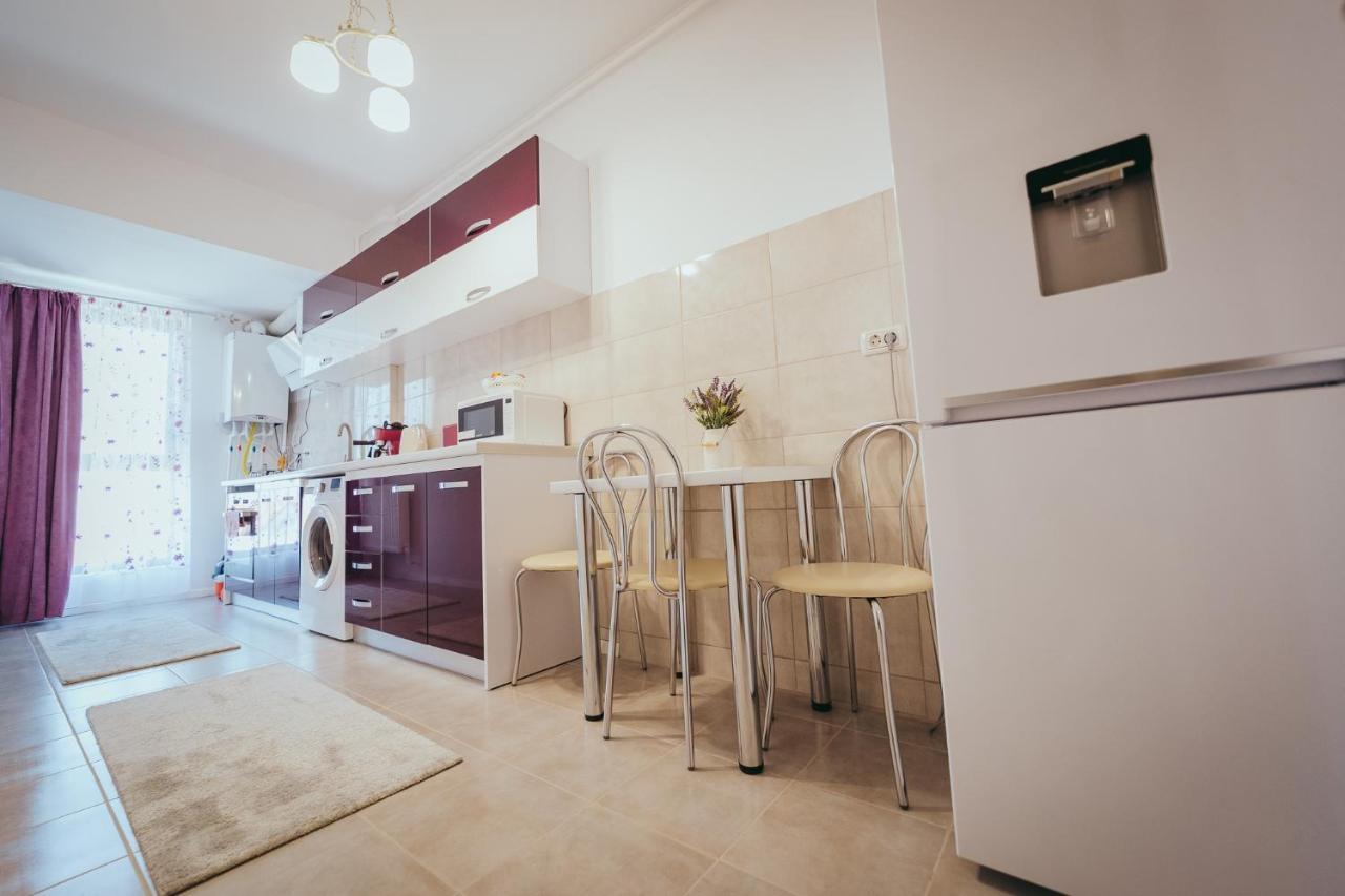 Homey Studio Tulcea Esterno foto