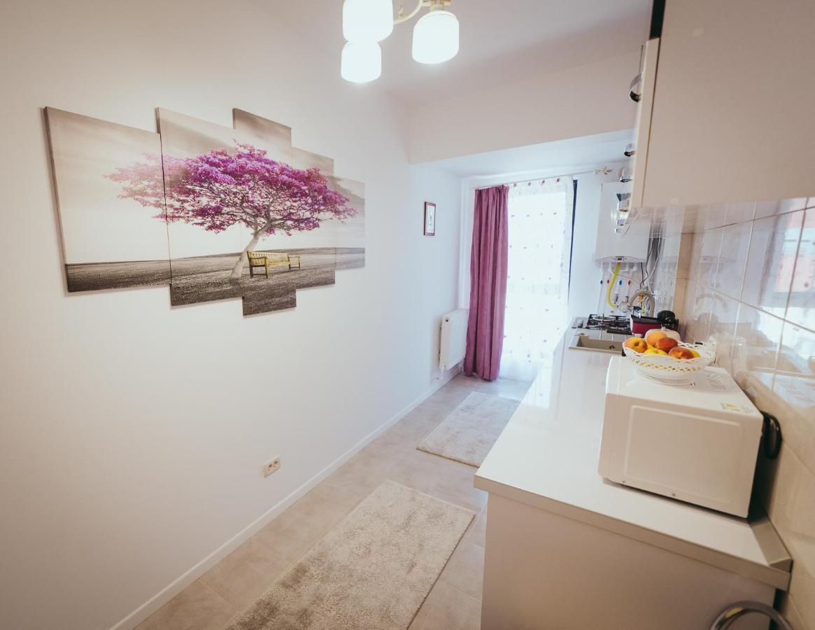 Homey Studio Tulcea Esterno foto